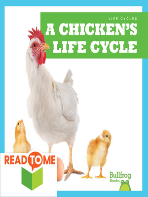 cover image of A Chicken's Life Cycle